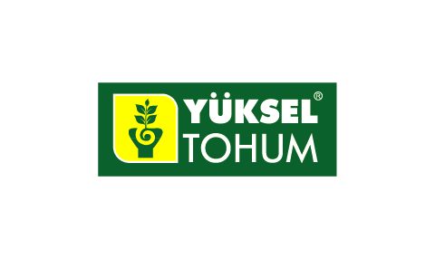 Yüksel Tohum
